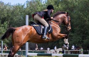 Pembrokeshire County Show